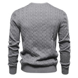 Falkner | Strickmodern Vyrų Megztinis